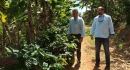 Jaime Fortuno and Lester Marin inspecting the Plantations.jpg