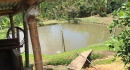 Colombia Huila-Cali Aug-14 073 - Finca San Jose Farmed Fish Pond
