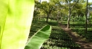 Light and shade Nursery