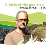 A taste of the new crop from Brazil is here