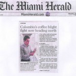 Coffee Rust in Latin America, a major concern!