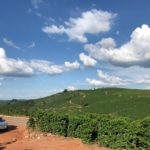 Brazil Green Coffee Reports 2018/19 and 2019/20 Crops