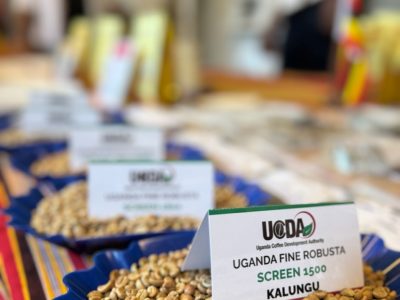 Ugandan Coffees Cupping Experience